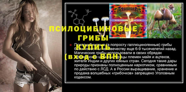 PSILOCYBIN Белоозёрский